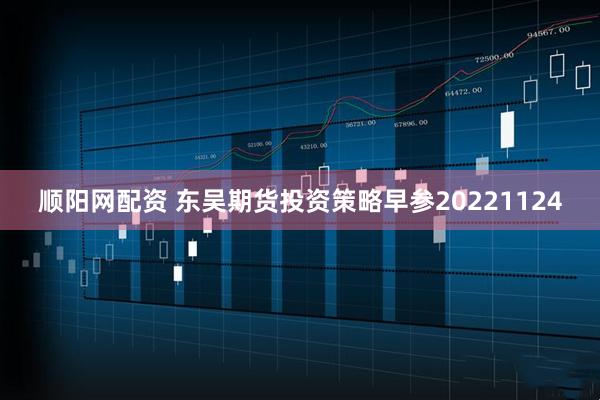 顺阳网配资 东吴期货投资策略早参20221124